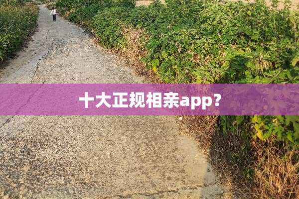 十大正规相亲app？