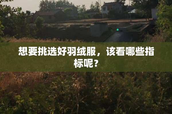 想要挑选好羽绒服，该看哪些指标呢？