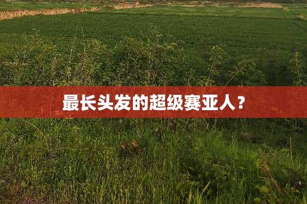 最长头发的超级赛亚人？