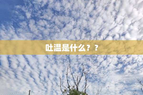 吐温是什么？？