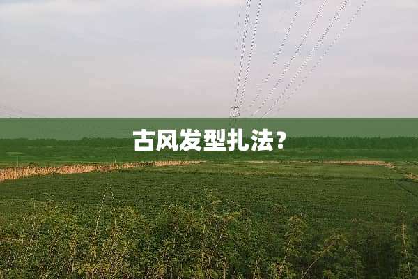 古风发型扎法？