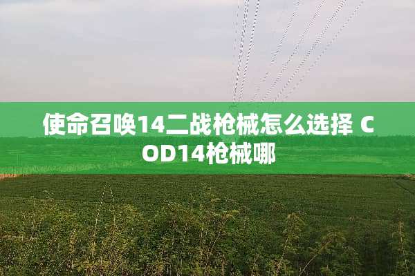 使命召唤14二战*械怎么选择 COD14*械哪