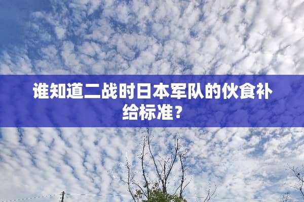 谁知道二战时日本**的伙食补给标准？