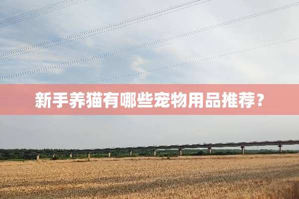 新手养猫有哪些宠物用品推荐？