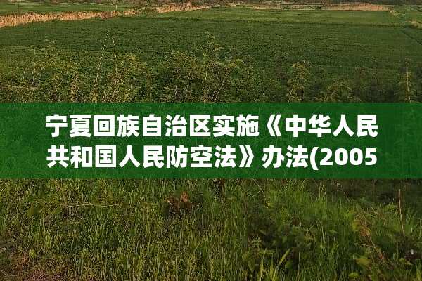 宁夏回族自治区实施《中华人民共和国人民防空法》办法(2005修正)