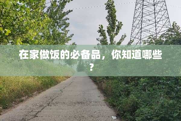 在家做饭的必备品，你知道哪些？
