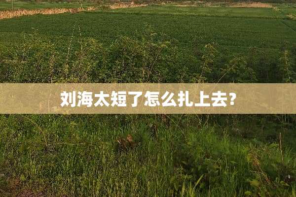 刘海太短了怎么扎上去？