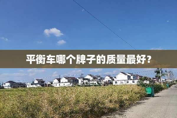 平衡车哪个牌子的质量最好？