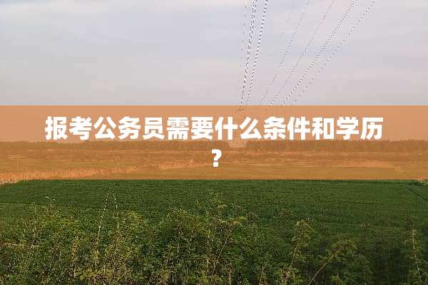 报考公务员需要什么条件和学历？
