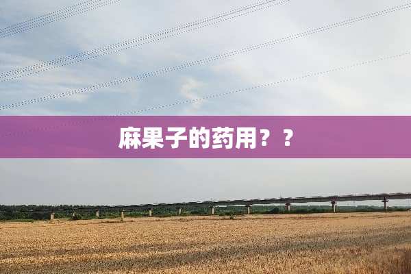麻果子的药用？？