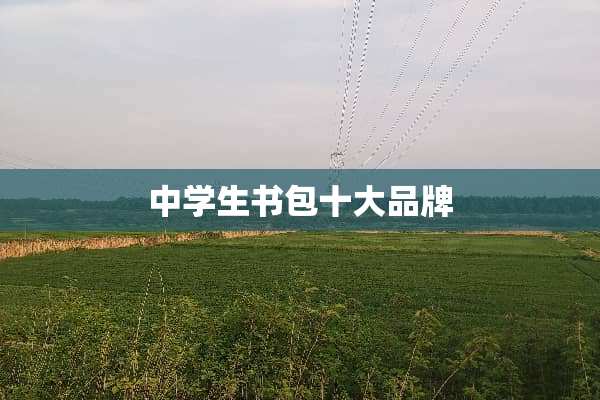 中学生书包十大品牌