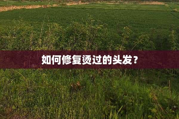 如何修复烫过的头发？