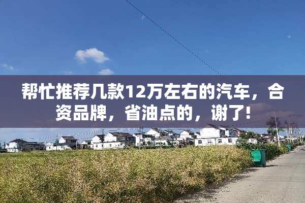 帮忙推荐几款12万左右的汽车，合资品牌，省油点的，谢了!
