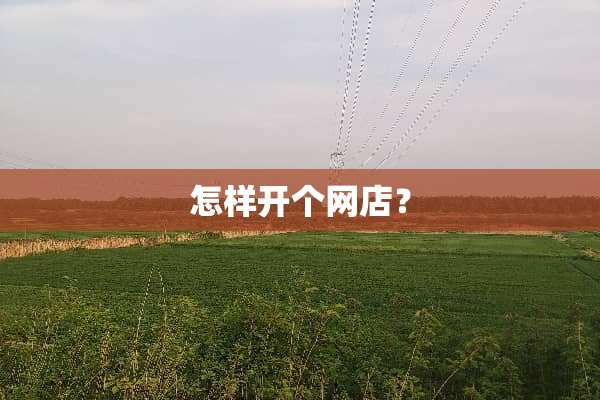 怎样开个网店？