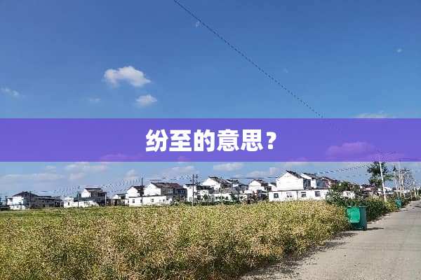 纷至的意思？