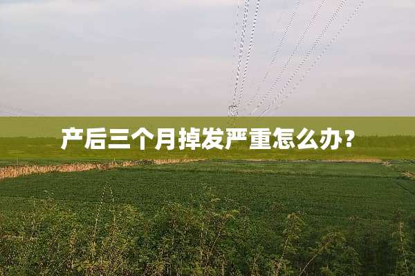 产后三个月掉发严重怎么办？