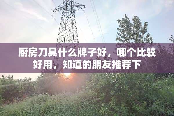 厨房**什么牌子好，哪个比较好用，知道的朋友推荐下