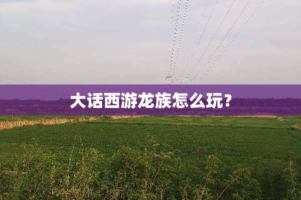 大话西游龙族怎么玩？