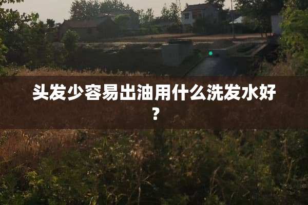 头发少容易出油用什么洗发水好？