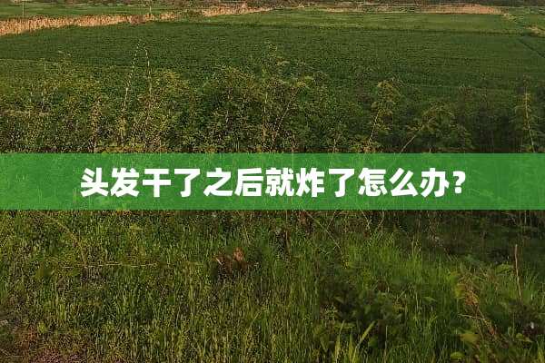 头发干了之后就炸了怎么办？