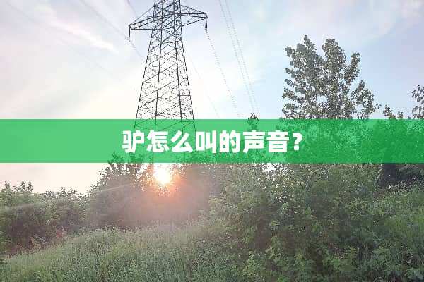 驴怎么叫的声音？