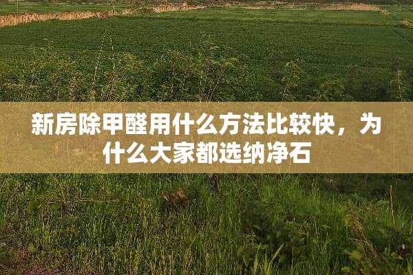 新房除甲醛用什么方法比较快，为什么大家都选纳净石