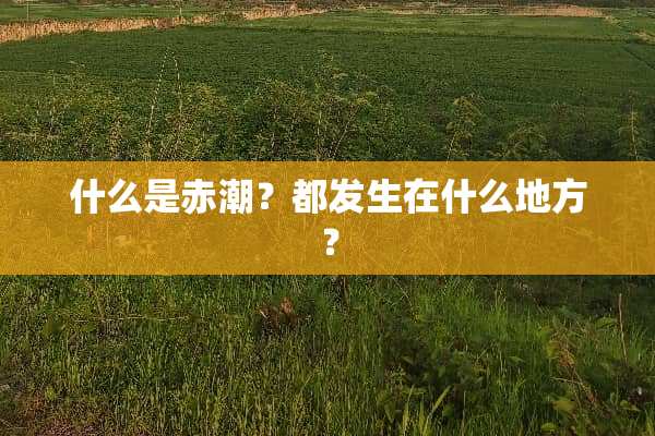 什么是赤潮？都发生在什么地方？