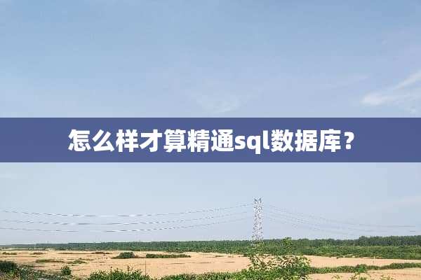 怎么样才算精通sql数据库？