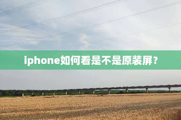 iphone如何看是不是原装屏？