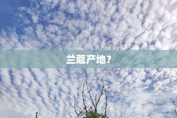 兰蔻产地？