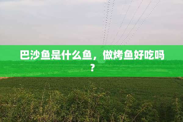 巴沙鱼是什么鱼，做烤鱼好吃吗？