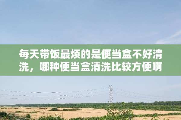 每天带饭最烦的是便当盒不好清洗，哪种便当盒清洗比较方便啊？