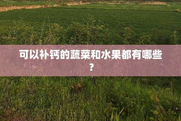 可以补钙的蔬菜和水果都有哪些？