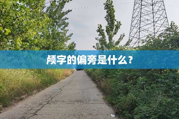 颅字的偏旁是什么？