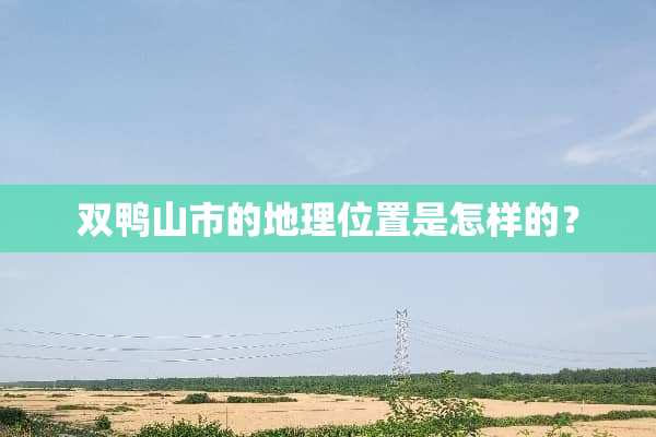 双鸭山市的地理位置是怎样的？