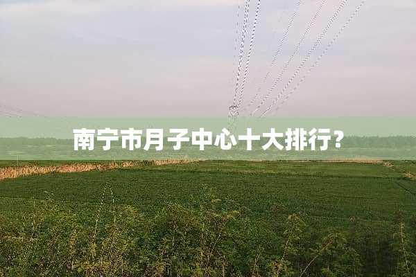 南宁市月子中心十大排行？