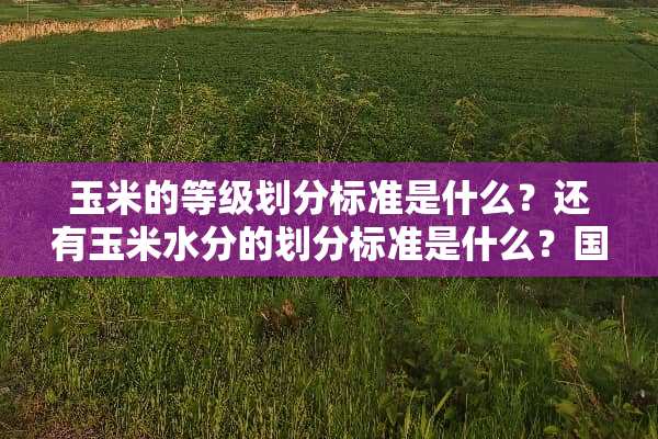 玉米的等级划分标准是什么？还有玉米水分的划分标准是什么？国家标准