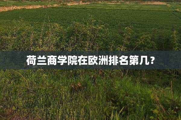 荷兰商学院在欧洲排名第几？