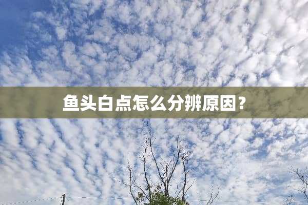 鱼头白点怎么分辨原因？