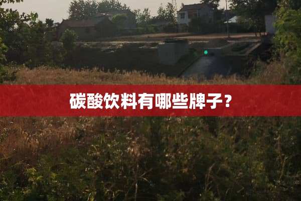 碳酸饮料有哪些牌子？