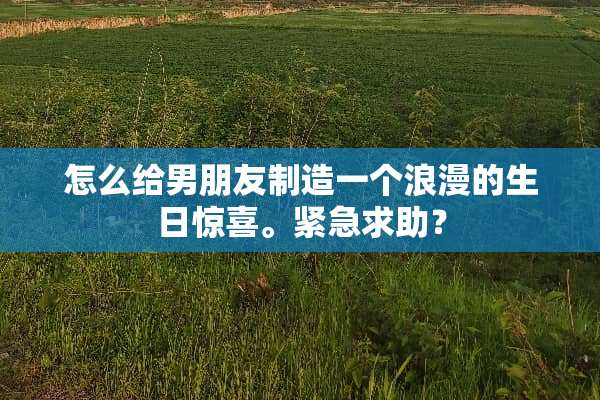 怎么给男朋友制造一个浪漫的生日惊喜。紧急求助？