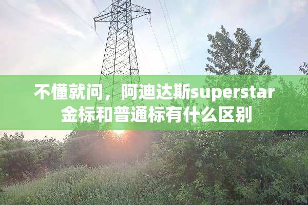 不懂就问，阿迪达斯superstar 金标和普通标有什么区别