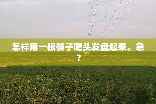 怎样用一根筷子吧头发盘起来。急？