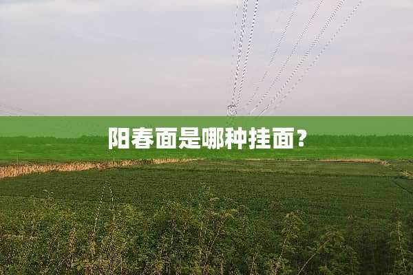 阳春面是哪种挂面？