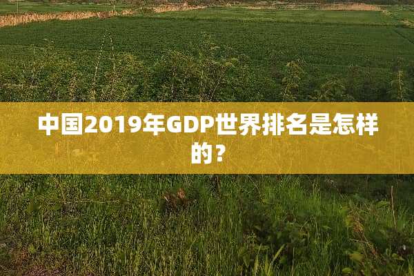 中国2019年GDP世界排名是怎样的？