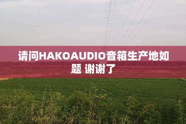 请问HAKOAUDIO音箱生产地如题 谢谢了