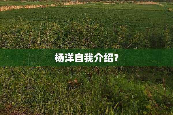 杨洋自我介绍？