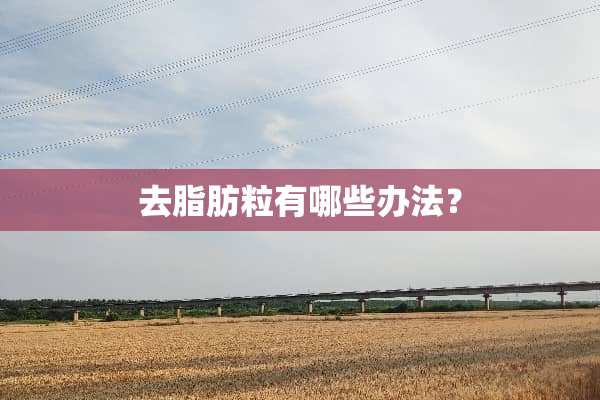 去脂肪粒有哪些办法？