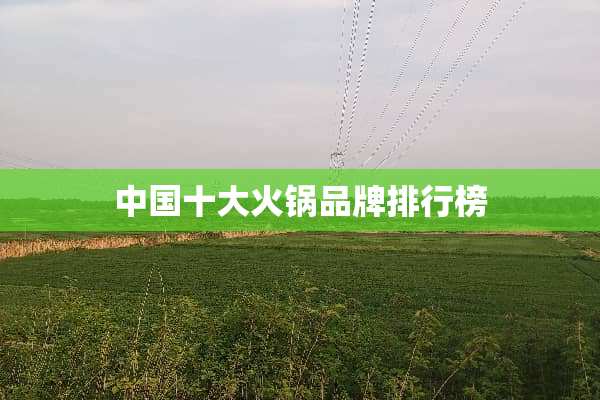 中国十大火锅品牌排行榜