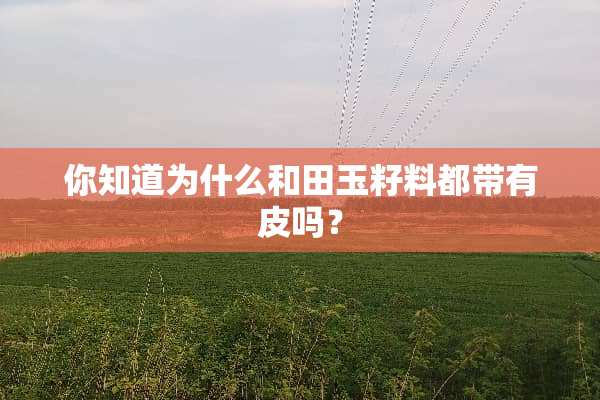 你知道为什么和田玉籽料都带有皮吗？